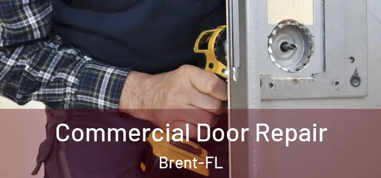 Commercial Door Repair Brent-FL