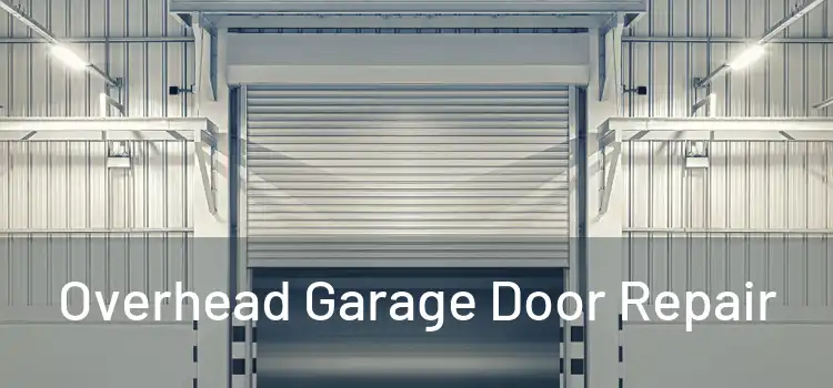Overhead Garage Door Repair